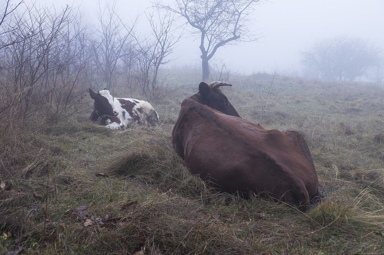 То, что вам не покажут про Крым...