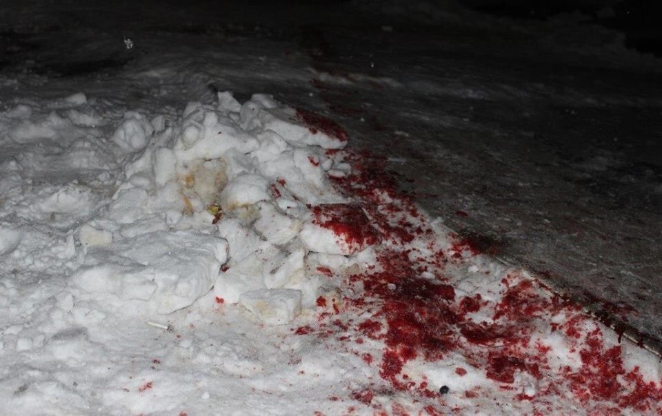 Багато крові і постраждалих: на Житомирщині сталася "бурштинова" перестрілка