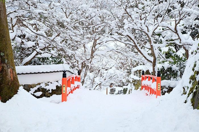 Небывалый снегопад превратил японский Киото в зимнюю сказку