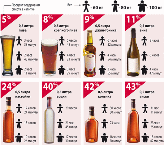 Сколько нужно времени, чтобы алкоголь вышел из организма: инфографика