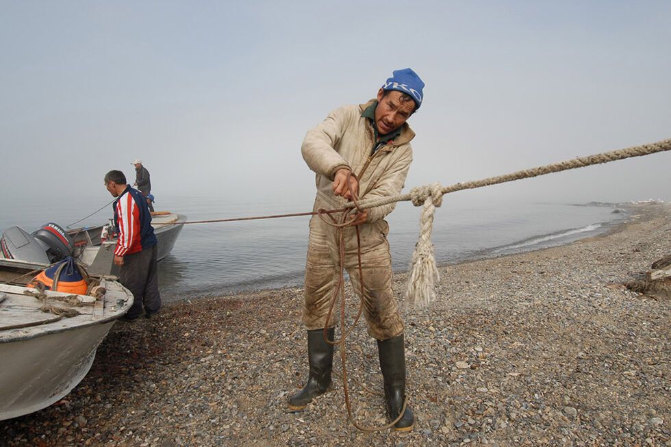 Появился впечатляющий фоторепортаж об охоте на моржей в России