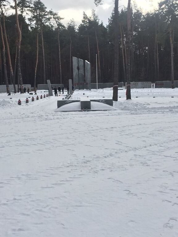 Зазіхнули на пам'ять: під Києвом вандали осквернили польське кладовище