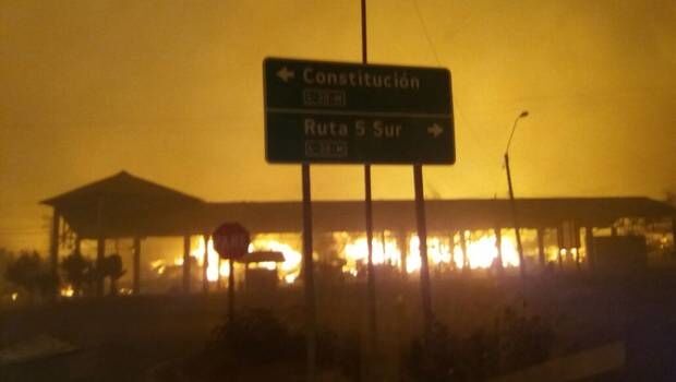 Самые ужасные за всю историю страны: в Чили бушуют лесные пожары-убийцы