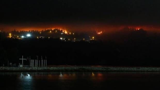 Самые ужасные за всю историю страны: в Чили бушуют лесные пожары-убийцы. Фото и видеофакт