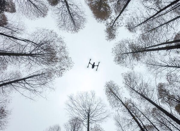 Завораживающая красота: выбраны лучшие фото, сделанные дронами 