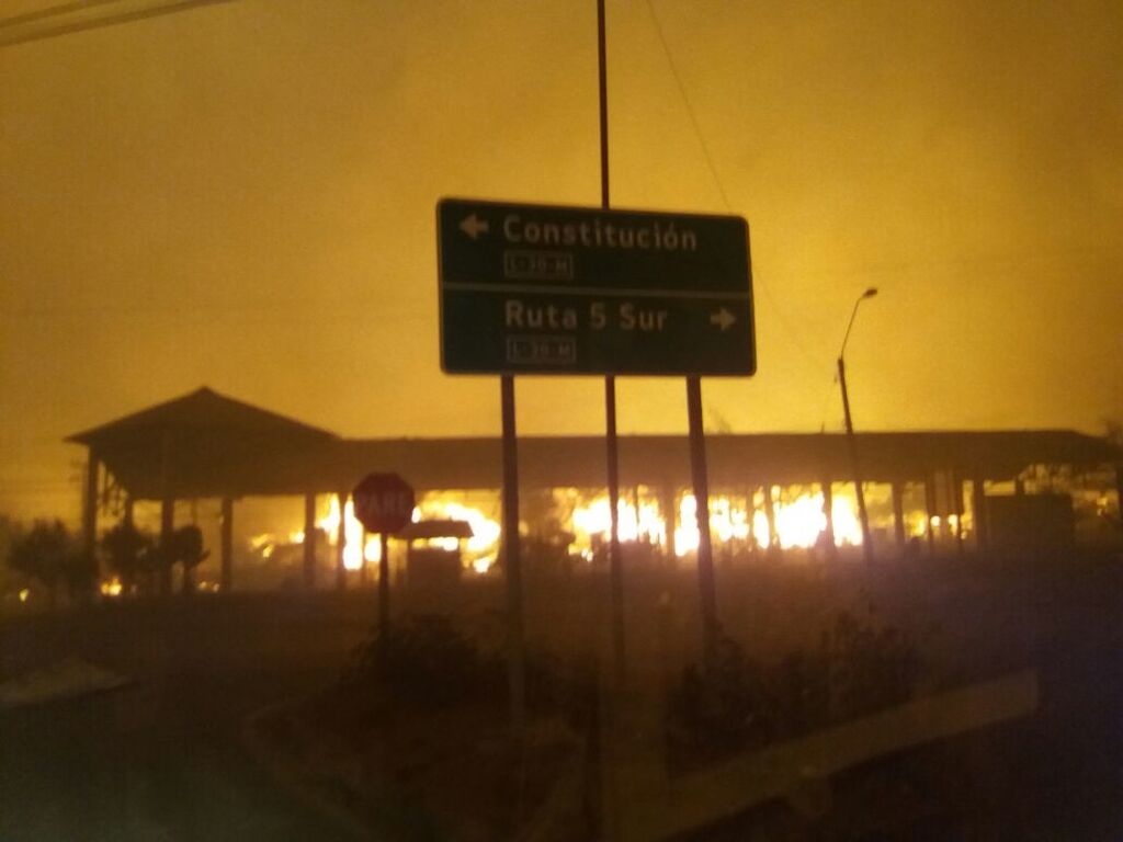 Самые ужасные за всю историю страны: в Чили бушуют лесные пожары-убийцы