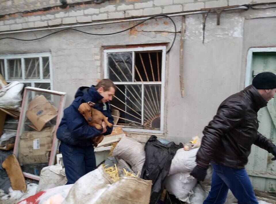 "Купался в крови": житель Николаева 15 лет похищал и ел собак. Опубликованы фото