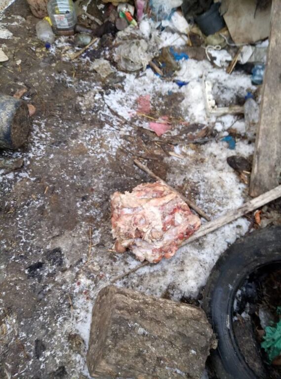 "Купался в крови": житель Николаева 15 лет похищал и ел собак. Опубликованы фото