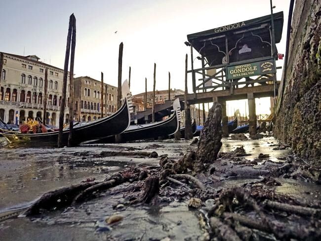 Венеция во время отлива: опубликованы поразительные фото каналов без воды