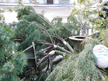 Под Киевом упала 12-метровая новогодняя елка: опубликованы фото