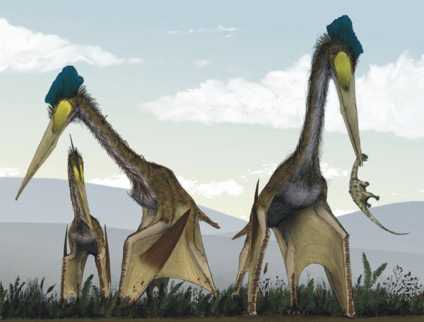 В Трансильвании&#8205; ученые обнаружили останки гигантских птерозавров