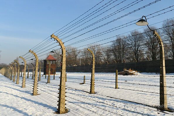 Польща відкрила дані 8,5 тис. співробітників концтабору Аушвіц