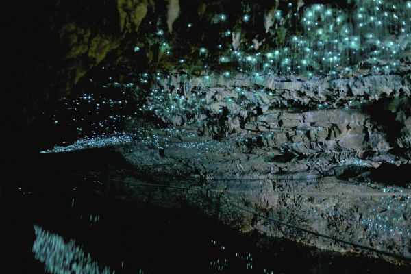 Фантастические "светящиеся пещеры" Новой Зеландии: опубликованы завораживающие фото
