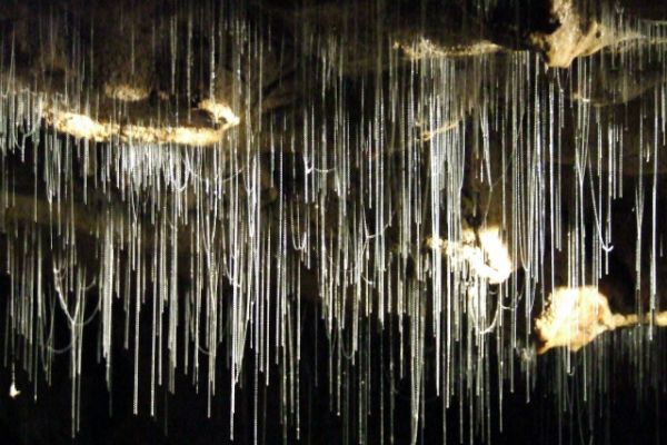 Фантастические "светящиеся пещеры" Новой Зеландии: опубликованы завораживающие фото