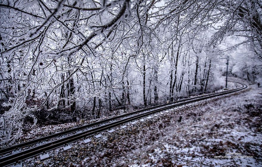 Красота зимнего леса глазами машиниста поезда: опубликованы завораживающие фото