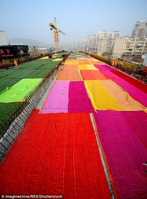 На заметку украинским дорожникам: в Китае новую дорогу "согрели" одеялами