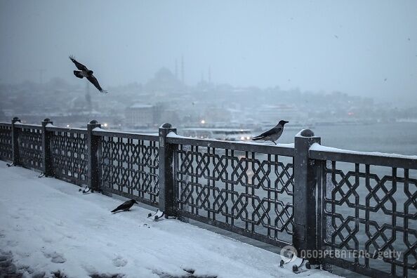 Сугробы и закрытый Босфор: Стамбул накрыл небывалый снегопад