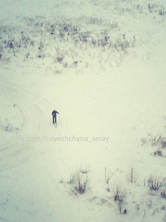 Актуальный транспорт: в сети поделились фотографиями киевского лыжника