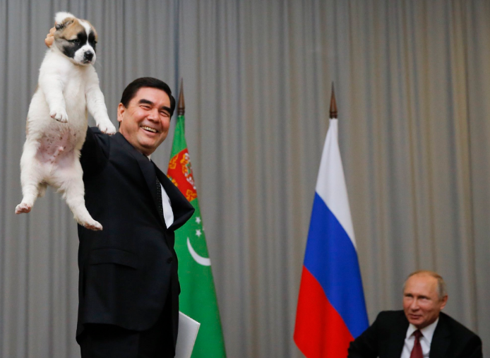 "Жалко собаку!" Путину подарили щенка алабая. Опубликованы фото