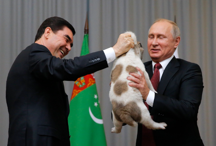 "Жалко собаку!" Путину подарили щенка алабая. Опубликованы фото