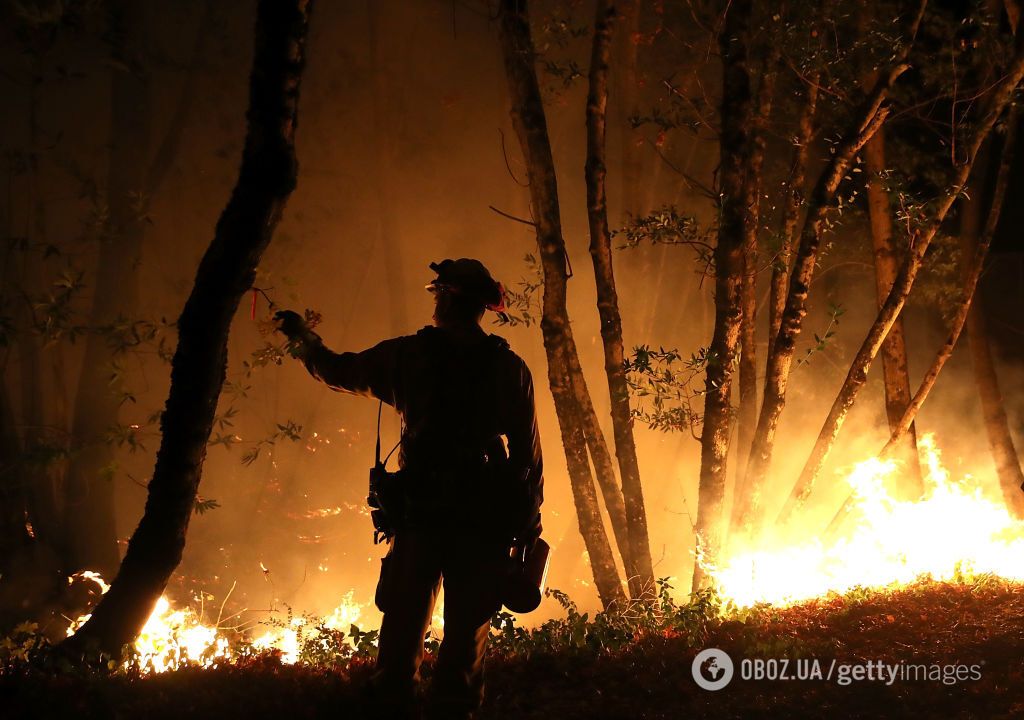 Самые смертоносные за 80 лет: Калифорнию охватили лесные пожары, все подробности, фото и видео