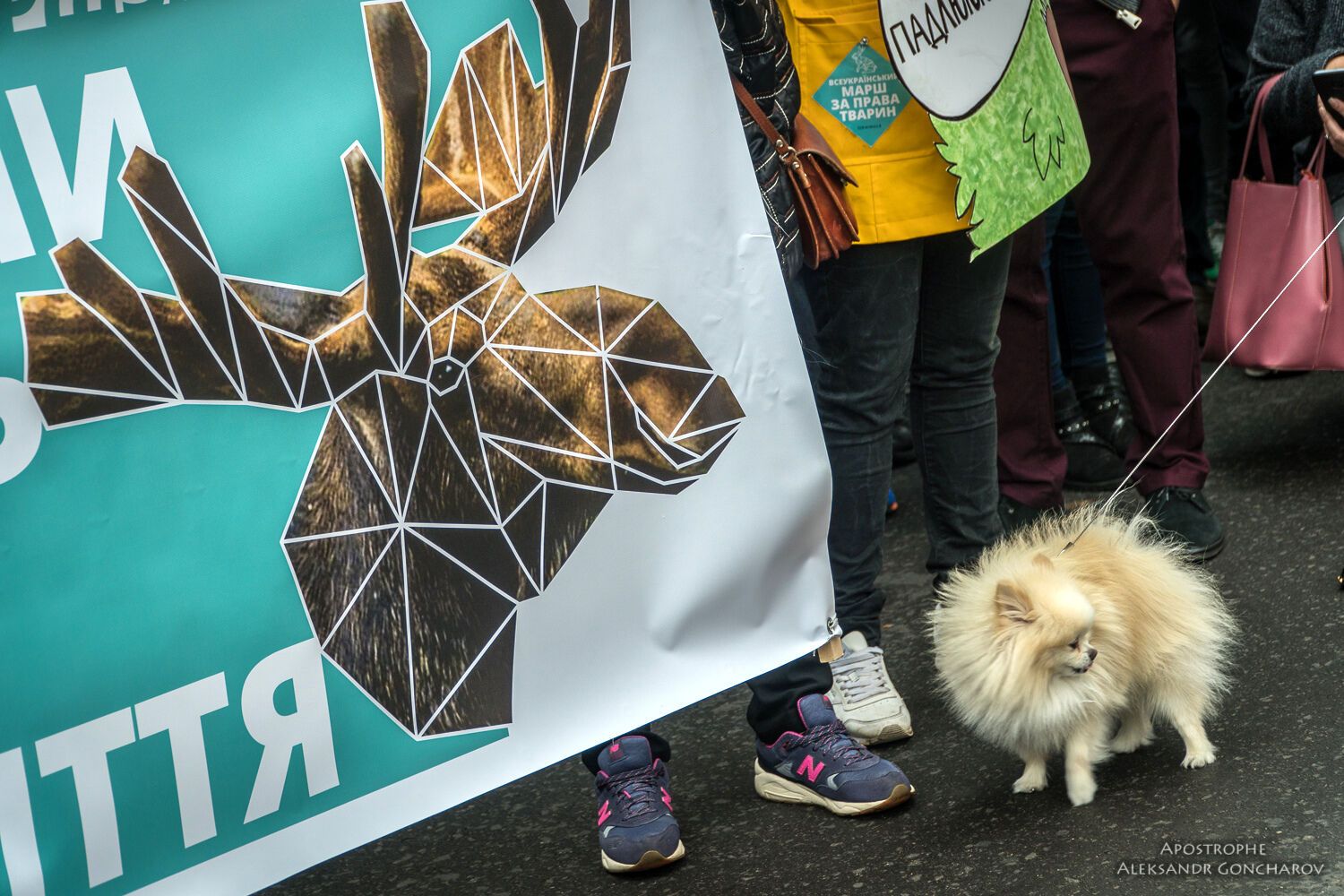 "Мене вбили твої розваги": у Києві пройшов гучний Марш за права тварин
