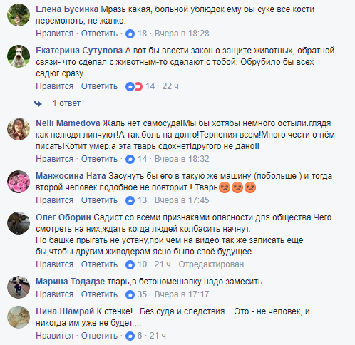 "Що діється з людьми?!" Вчинок росіянина з котом шокував мережу