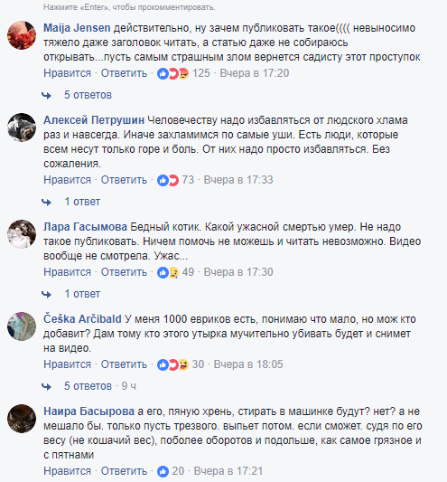 "Что творится с людьми?!" Поступок россиянина с котом поверг сеть в шок