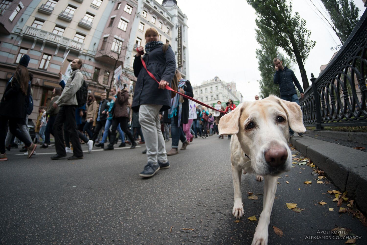 "Меня убили твои развлечения": в Киеве прошел нашумевший Марш за права животных