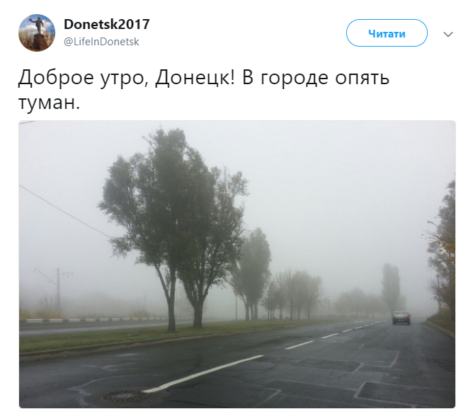 Україна потонула в густому тумані: з'явилися подробиці та фото