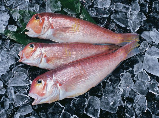 Яку рибу краще не їсти: з'явився ''чорний список''