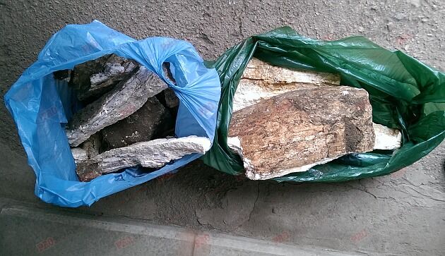 На запорожском курорте нашли останки крупного ископаемого животного (ФОТО)