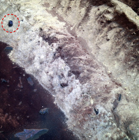 "Это не скульптура": ученый рассмотрел на Марсе голову Дарта Вейдера