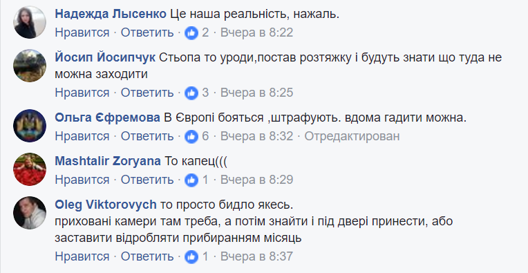 "Просто свиньи": сеть возмутило поведение туристов на Львовщине