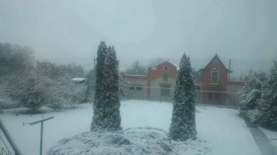 Зима близько: Харків засипало першим снігом