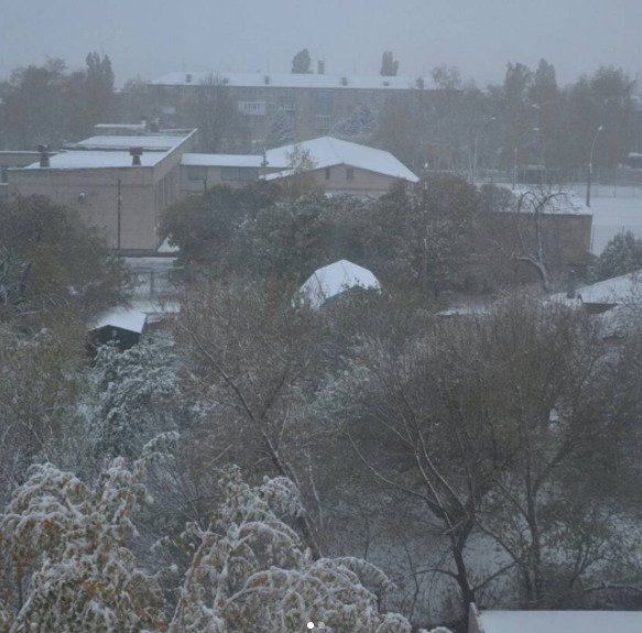 Зима близько: Харків засипало першим снігом