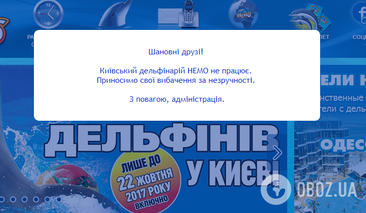 "Навіть стільці розібрали": у Києві закрили відомий дельфінарій "Немо"