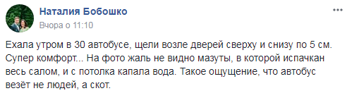 "Везет скот": пассажир пожаловалась на адские условия в автобусе в Киеве