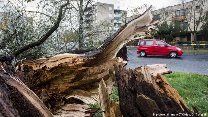 Руйнівний ураган атакував Європу: з'явилися нові подробиці, фото і відео