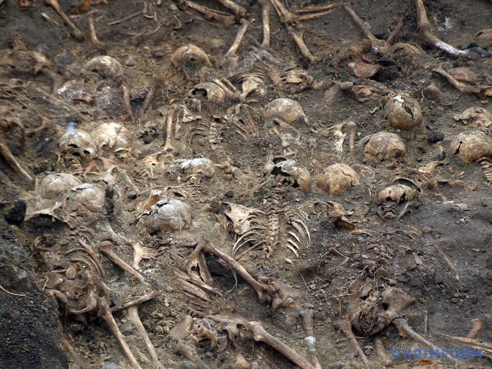 Жуткая находка: на Тернопольщине раскопали массовое захоронение жертв нацистов
