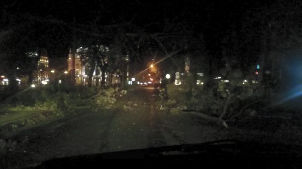 Валил деревья и обрывал провода: на западную Украину пришел сильный ураган