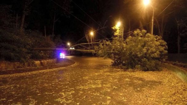Валив дерева та обривав дроти: в західну Україну прийшов сильний ураган