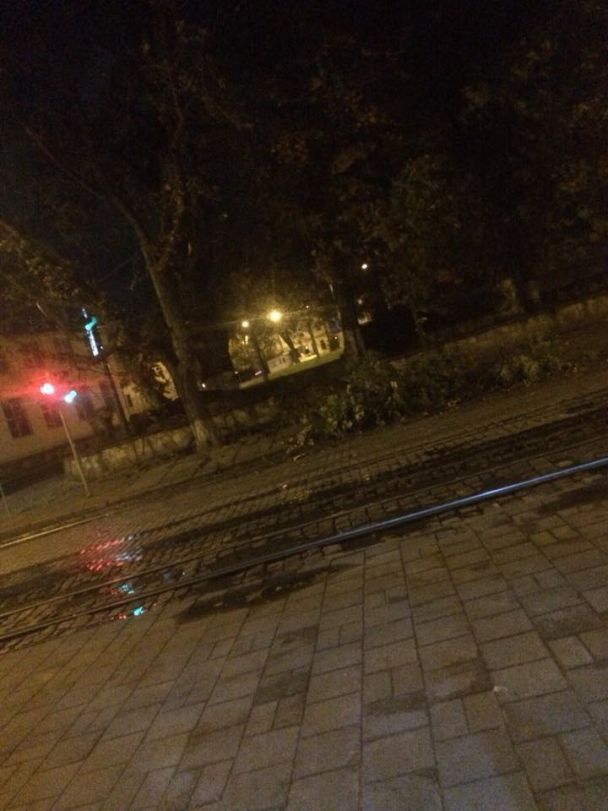 Валив дерева та обривав дроти: в західну Україну прийшов сильний ураган
