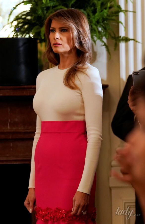 Всю грудь видно: жена Трампа появилась на людях в слишком откровенном наряде