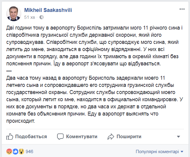 Сына Саакашвили задержали в Киеве: политик объяснил реакцию