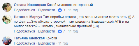 "Ласковая, людей не боится": в Киеве в известном супермаркете по продуктам бегала мышь