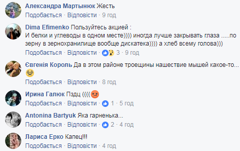 "Лагідна, людей не боїться": у Києві у відомому супермаркеті по продуктах бігала миша