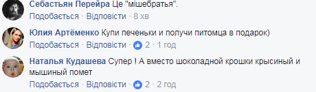 "Ласковая, людей не боится": в Киеве в известном супермаркете по продуктам бегала мышь