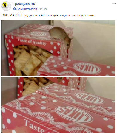 "Ласковая, людей не боится": в Киеве в известном супермаркете по продуктам бегала мышь