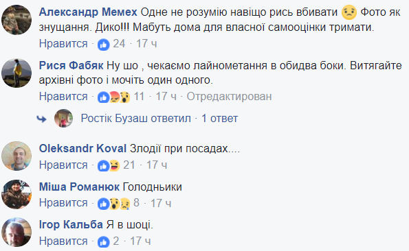 Лісник жорстоко розправився з унікальною твариною на Закарпатті. Фотофакт